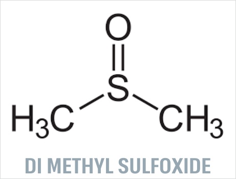Dimethyl Sulfoxide