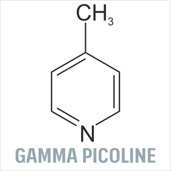 Gamma Picoline